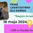 Piknik charytatywny dla Dawida Życie Pabianic