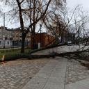 Stary rynek Życie Pabianic