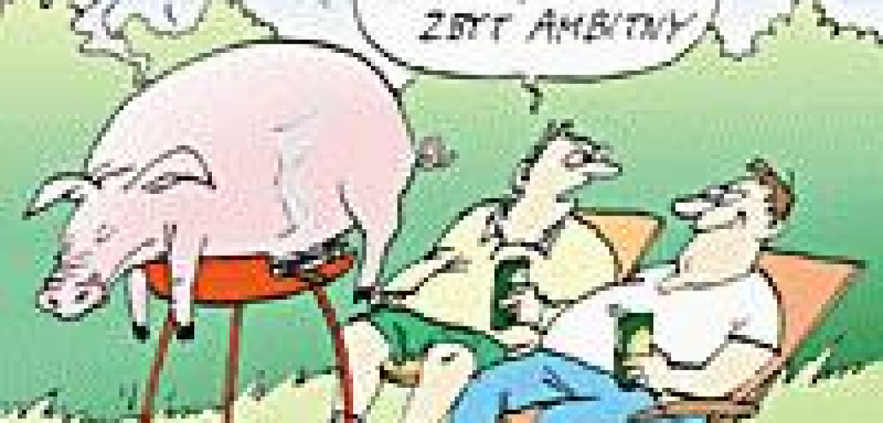 10 przykazań dla grillujących