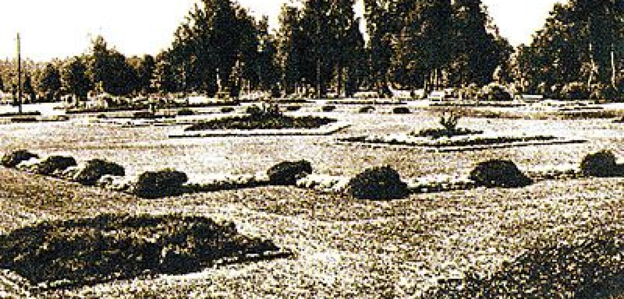 Piękny był nasz park Wolności...