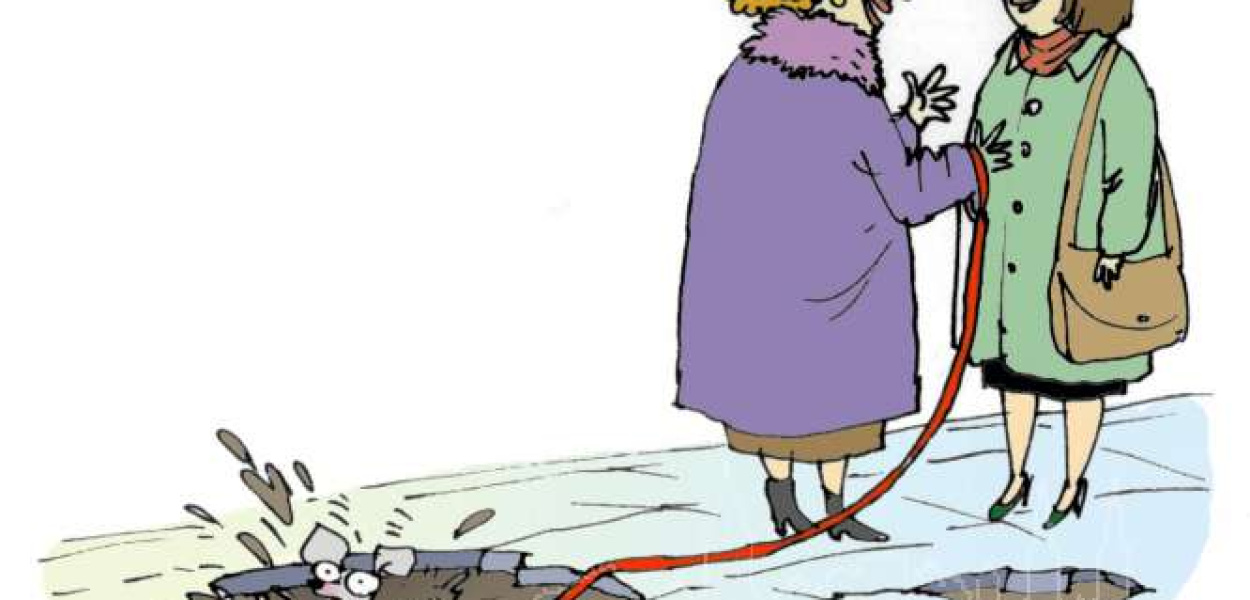 Hans-Zalepa Katarzyna