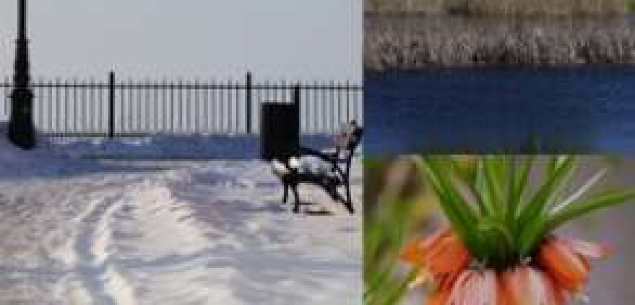 Jak rozpoznać Kobietę Lato?