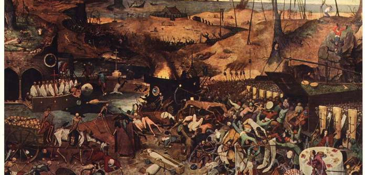 Jak kołtuny rosły nad Dobrzynką