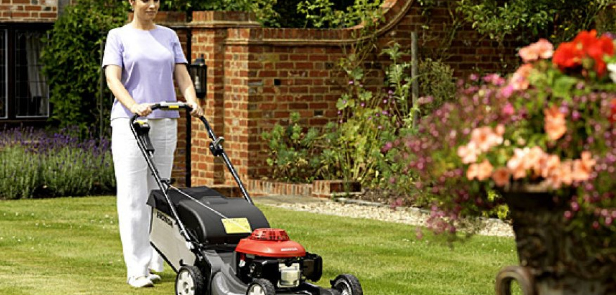 Jak zadbać o trawnik?