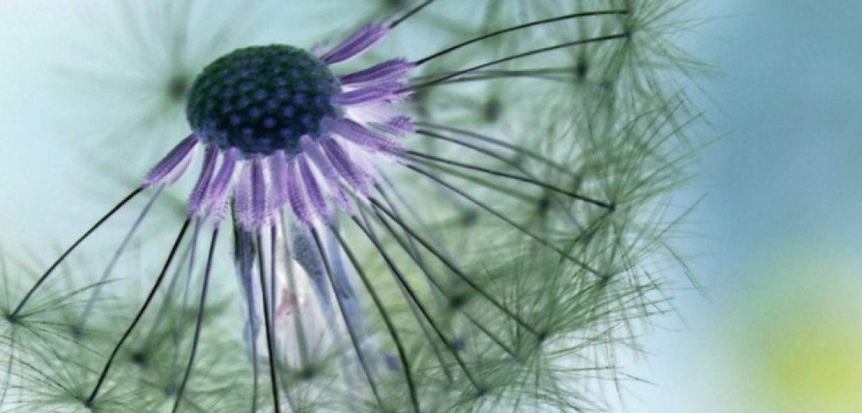 Społeczna odpowiedzialność biznesu - co się za nią kryje?