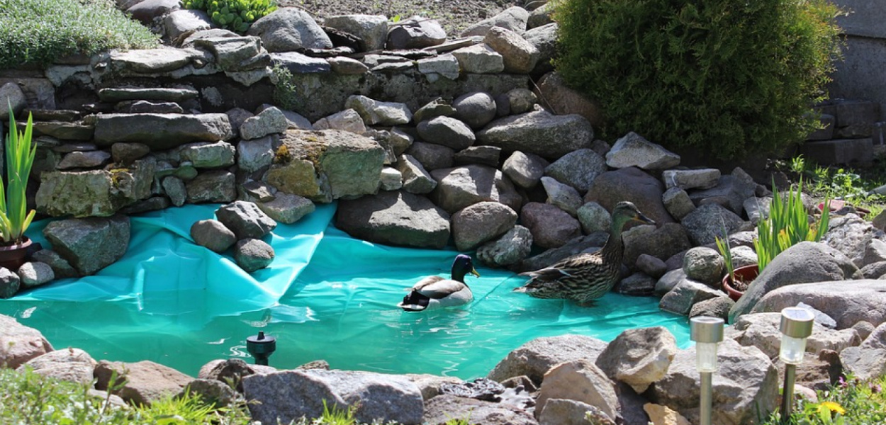 Pierwsze oczko wodne? Zobacz, co musisz zakupić!