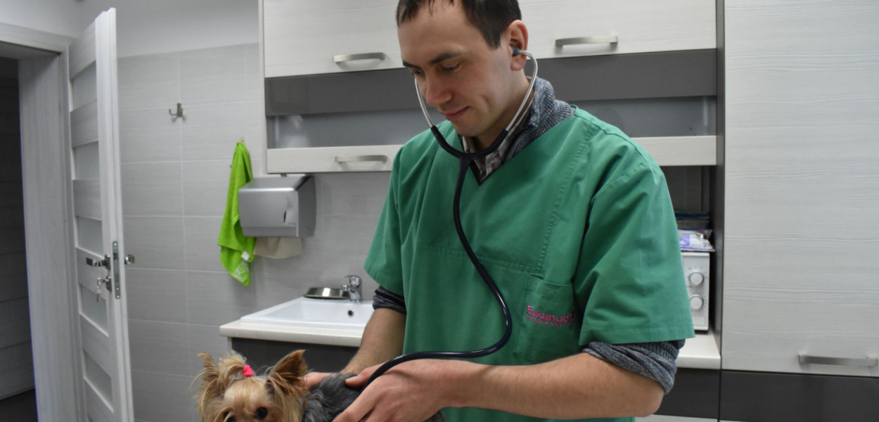 Masz pytanie do lekarza weterynarii? Prześlij je nam!