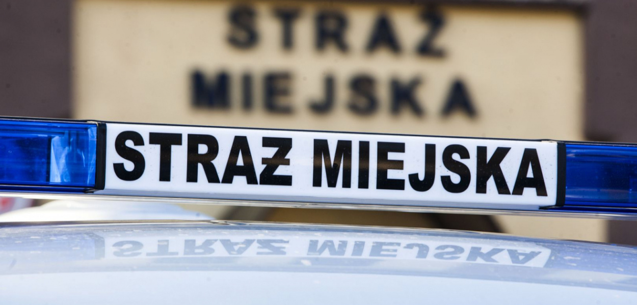 Wstąp w szeregi Straży Miejskiej. "Praca jest ciekawa, pełna wyzwań"