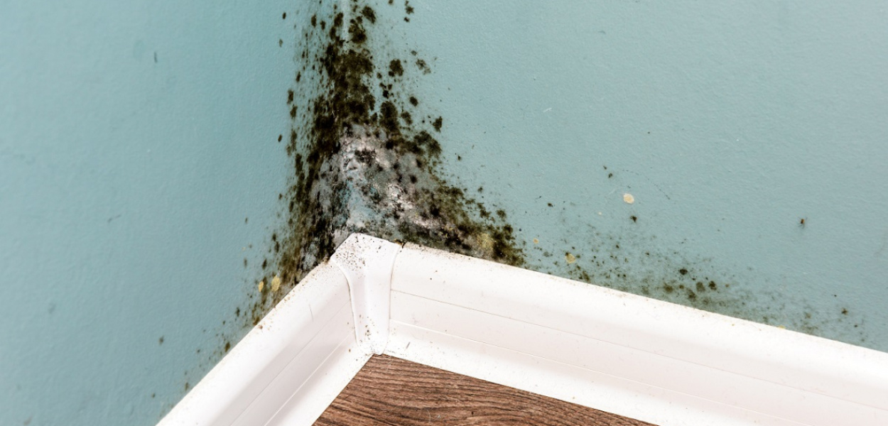 Osuszanie wnętrz - skąd wiedzieć kiedy