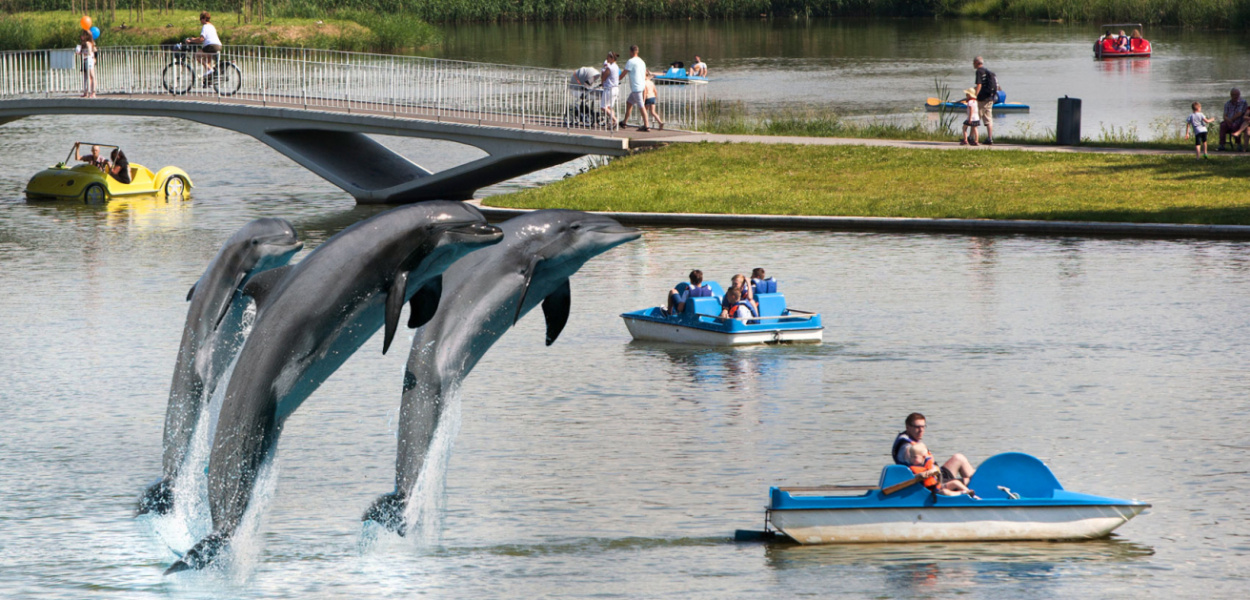  Delfinarium sposobem na zwiększenie dochodów w budżecie. Kto je nam…
