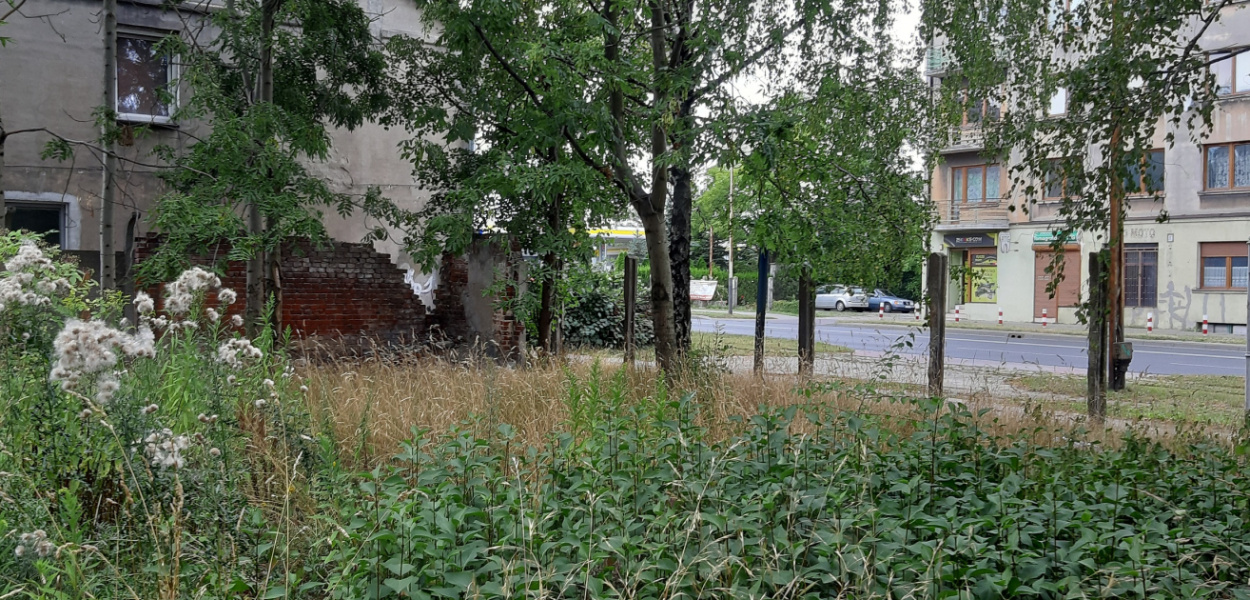 Czyj jest ten kawałek ziemi?