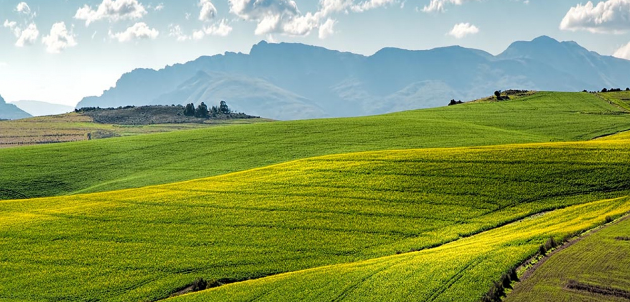 Co to jest służebność gruntowa?