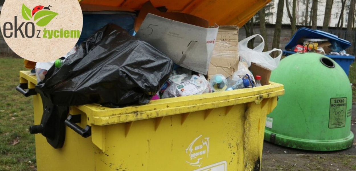 Segregacja śmieci to ściema? Teoria vs. rzeczywistość [OPINIA]