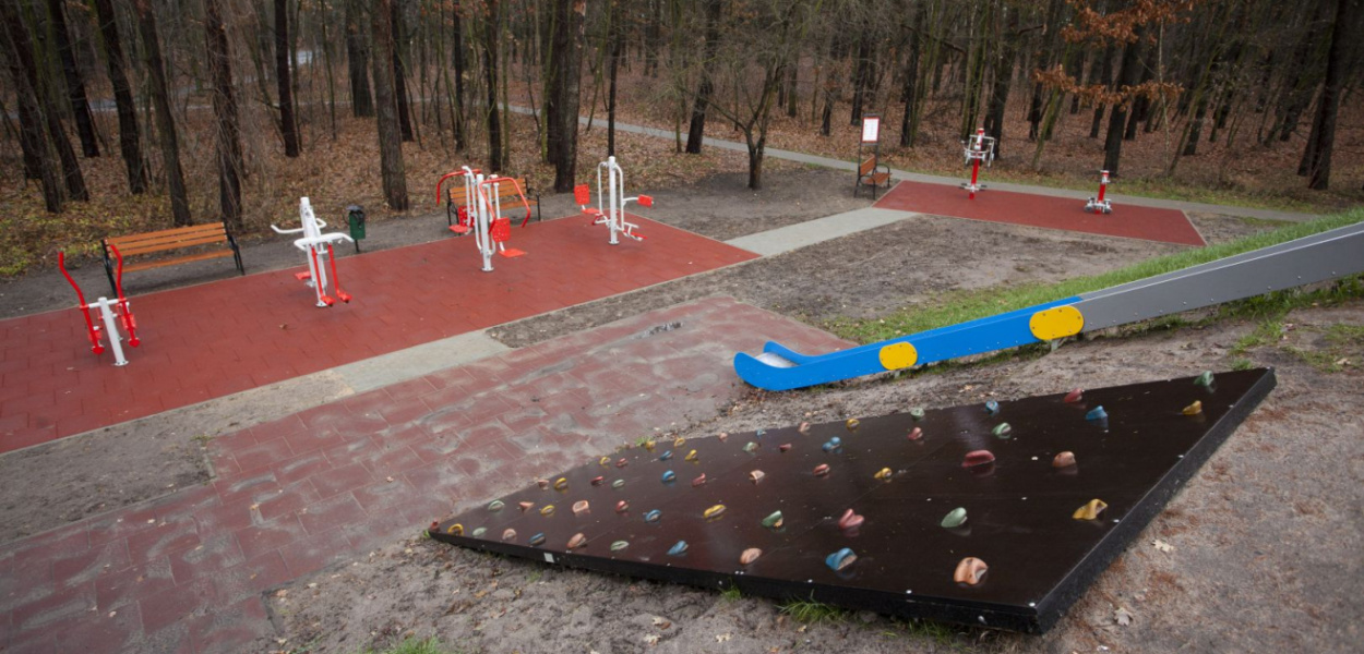  Kiedy będzie widniej w parku Wolności? Ruszył przetarg na projekt i…