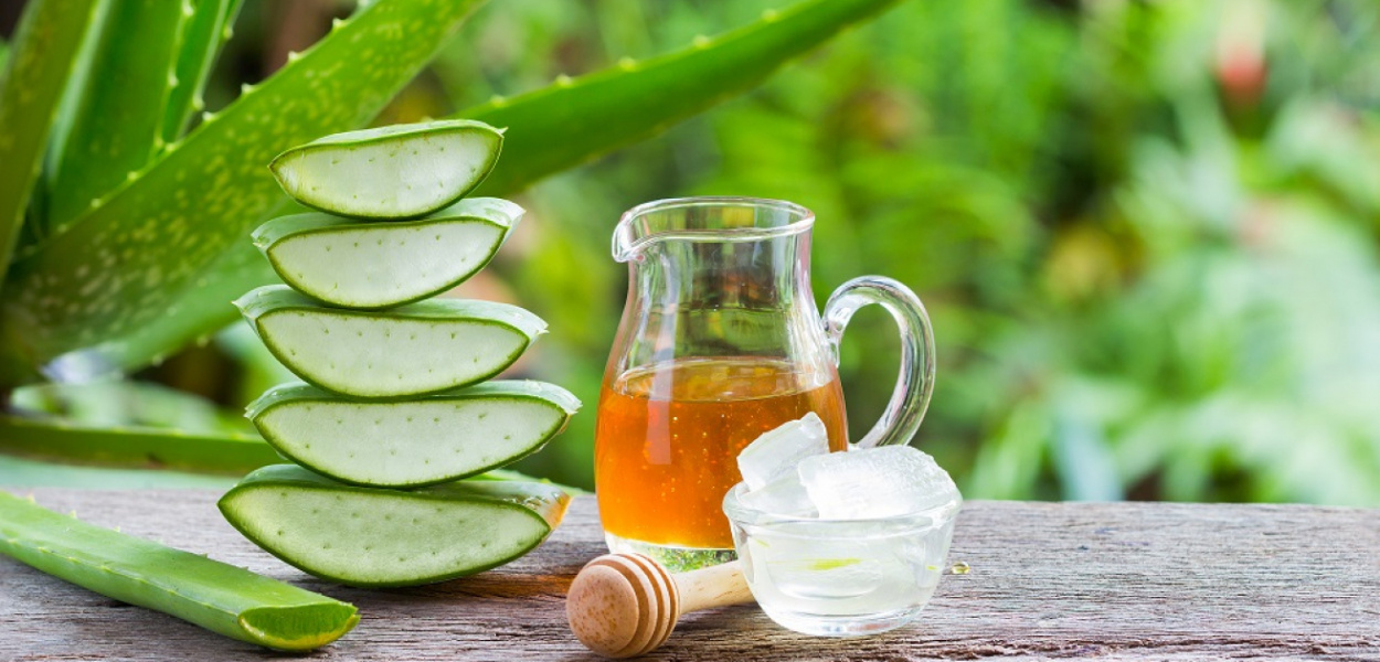 Niezmienne dobrodziejstwo aloesu