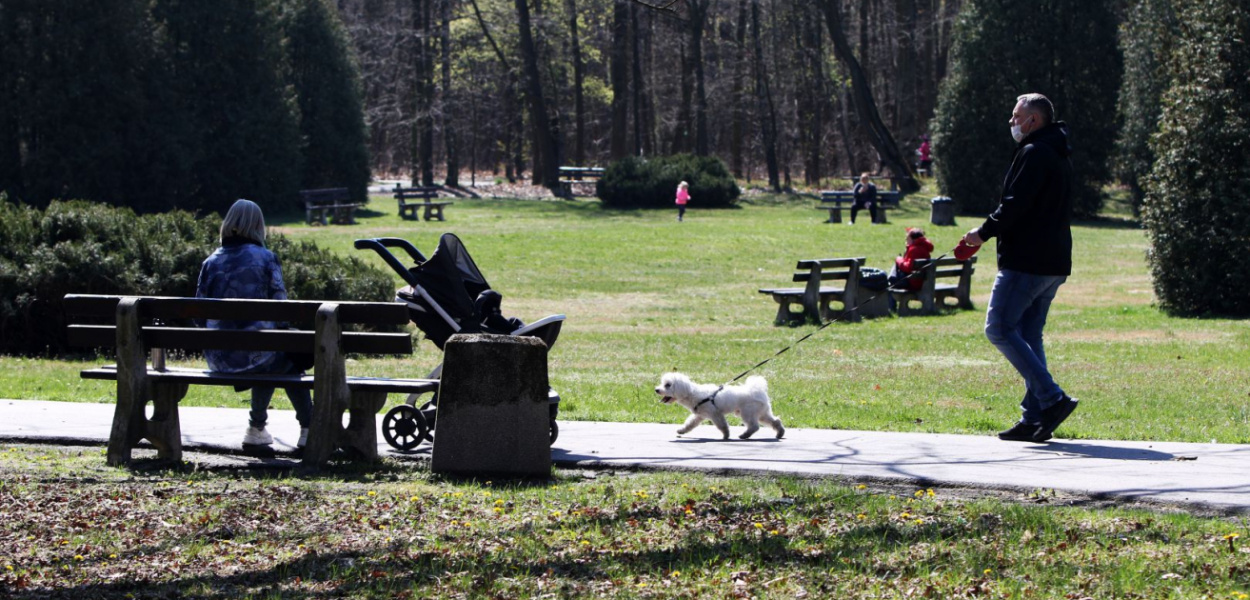  Luzowanie obostrzeń po pabianicku: "Czy czujemy się tak pewni, że nas…