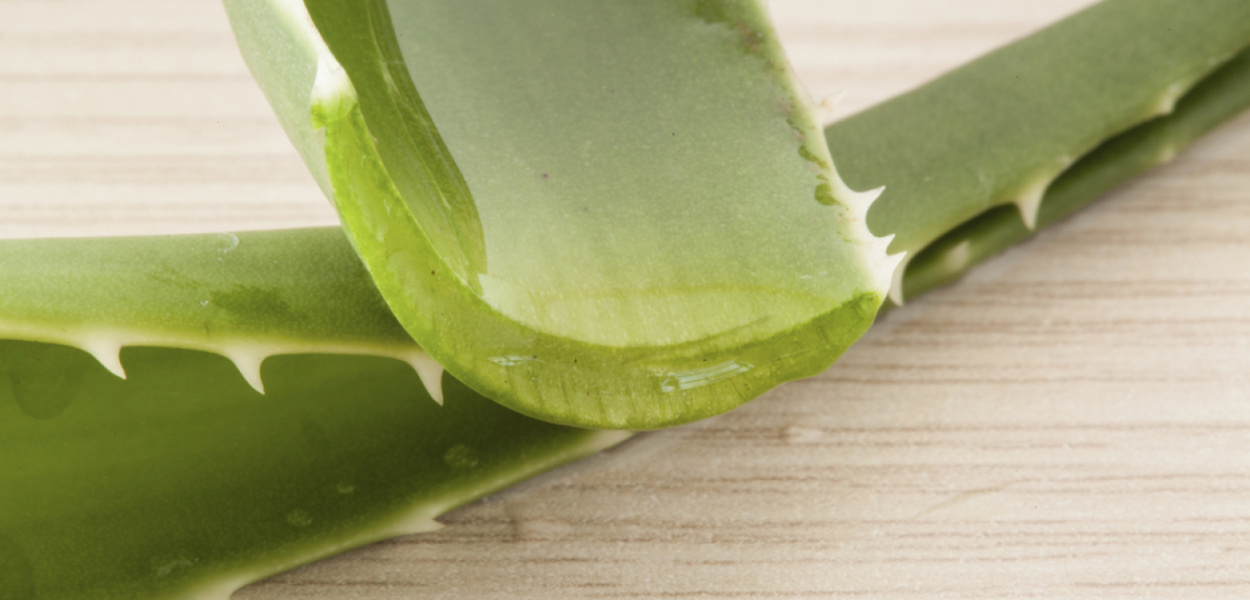 Fitoterapia - jakie zioła wspomagają naszą odporność?