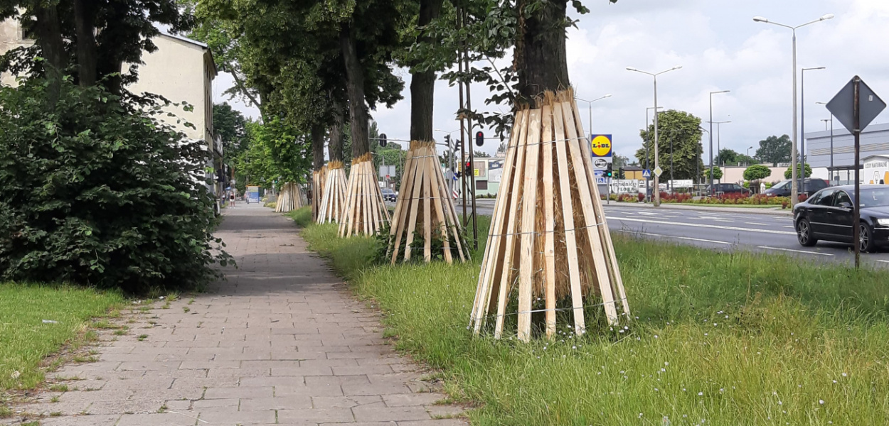  Przysłonięte drzewa, ograniczenia prędkości na ul. Łaskiej. Co tu się…