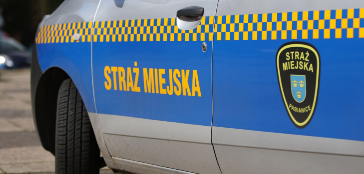  Stado martwych gołębi przy ul. Wodnej. Ktoś je otruł? UWAGA! Drastyczne…