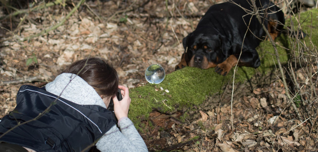 Psia dusza uchwycona na fotografii [KONKURS]