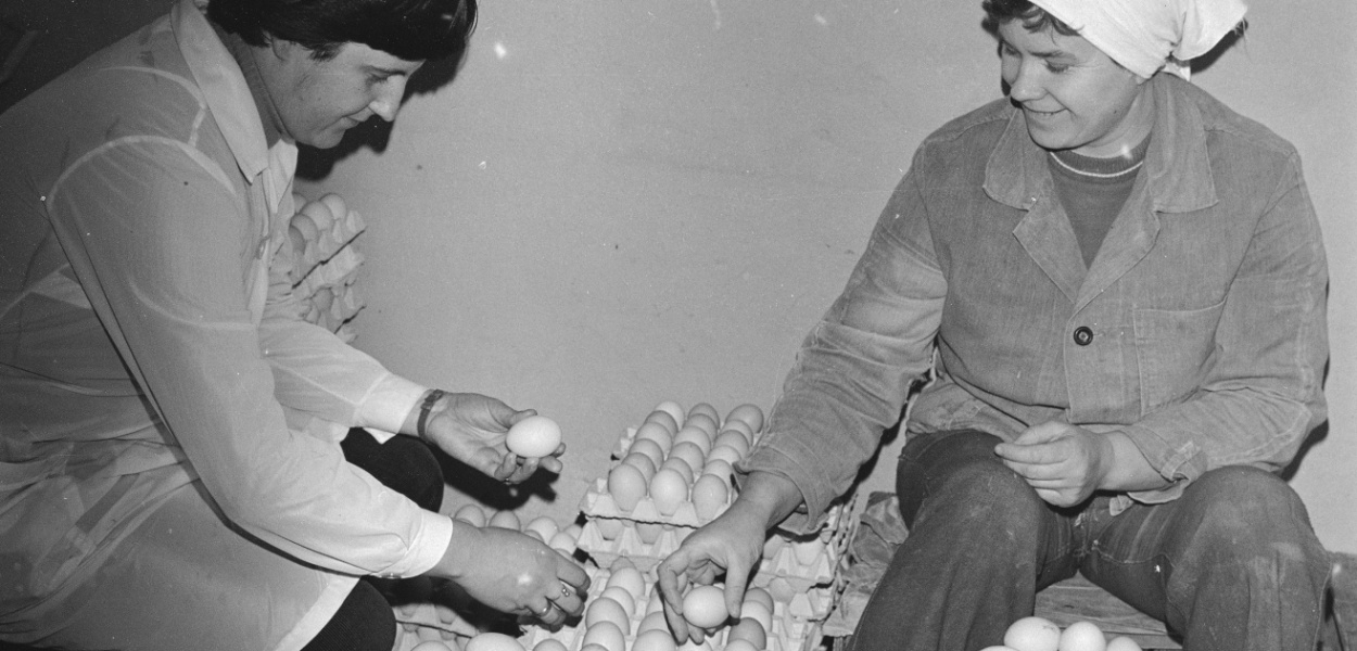 NAC, sygnatura: 40-2-138-13