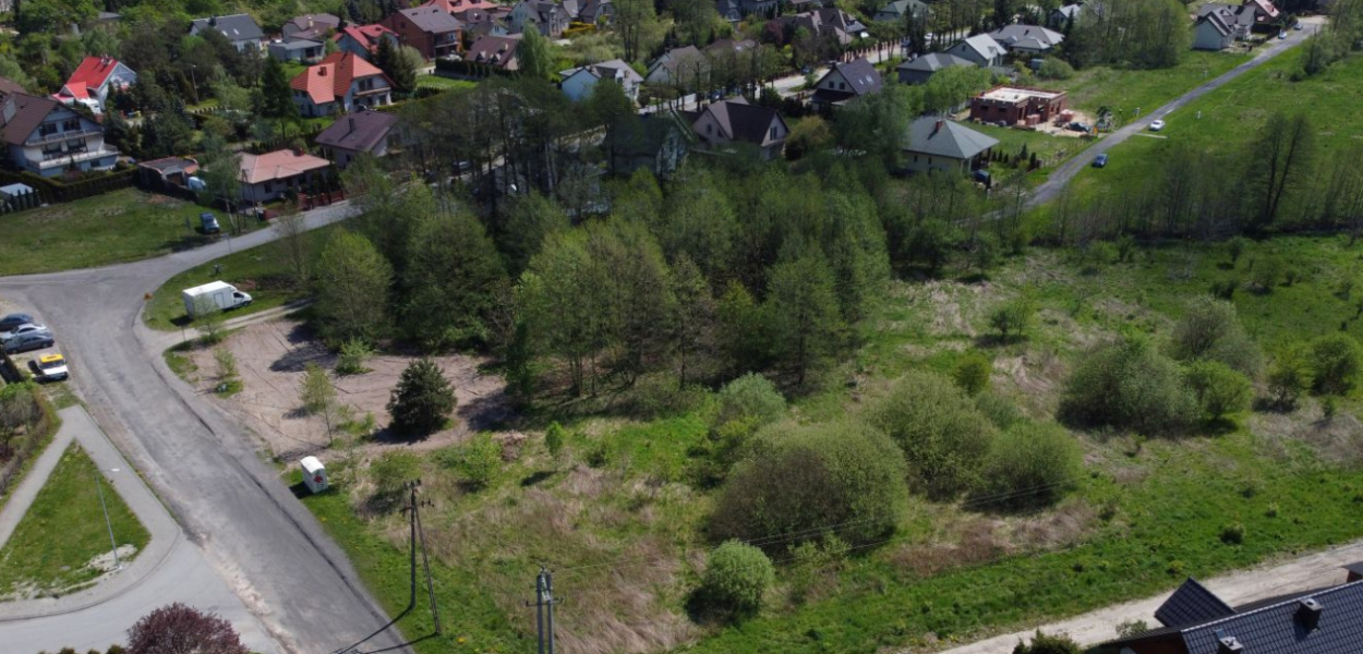 Na Zatorzu powstaje oaza dla pszczół