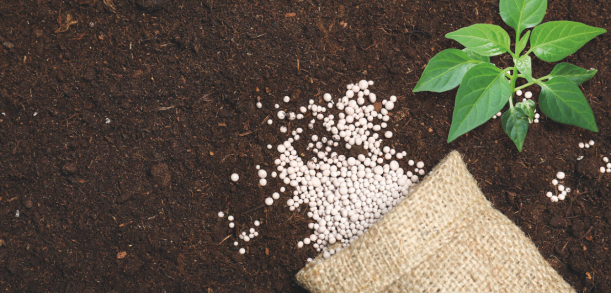 Wapno granulowane i jego rola w glebie