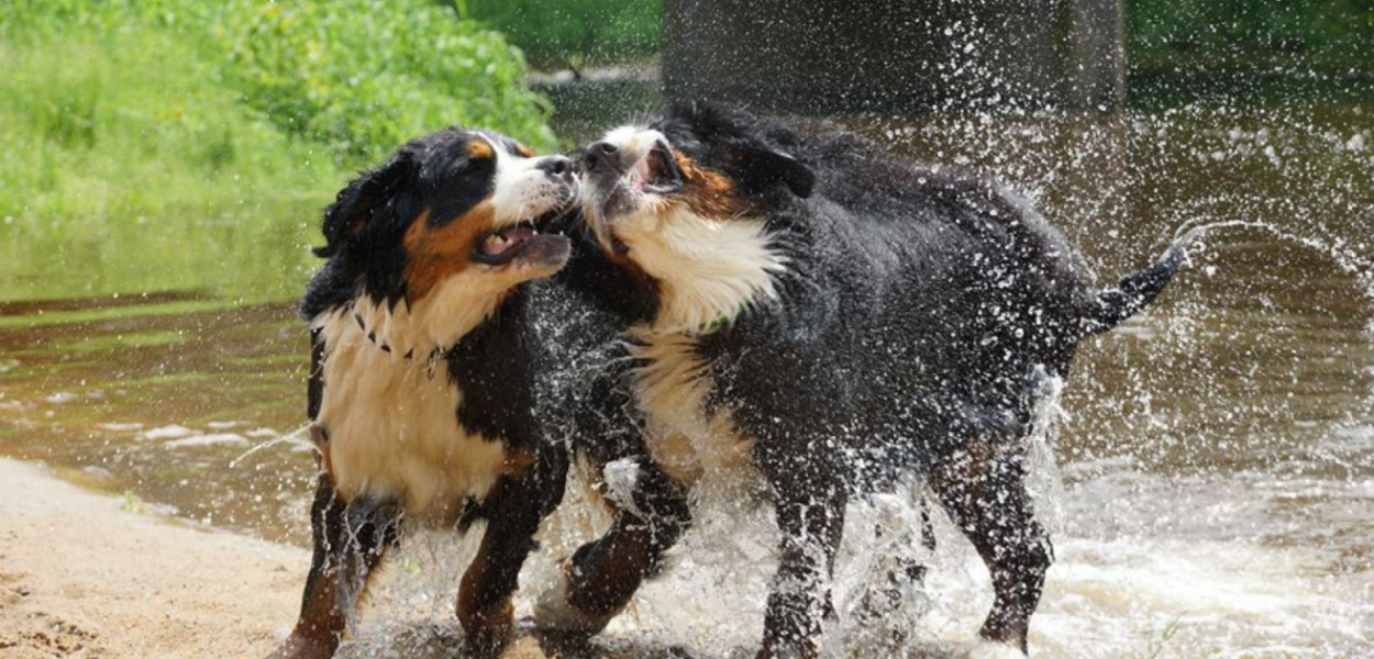  WOŚP 2022: Wyjątkowe wydarzenie orkiestrowie, czyli Wielka Wystawa…