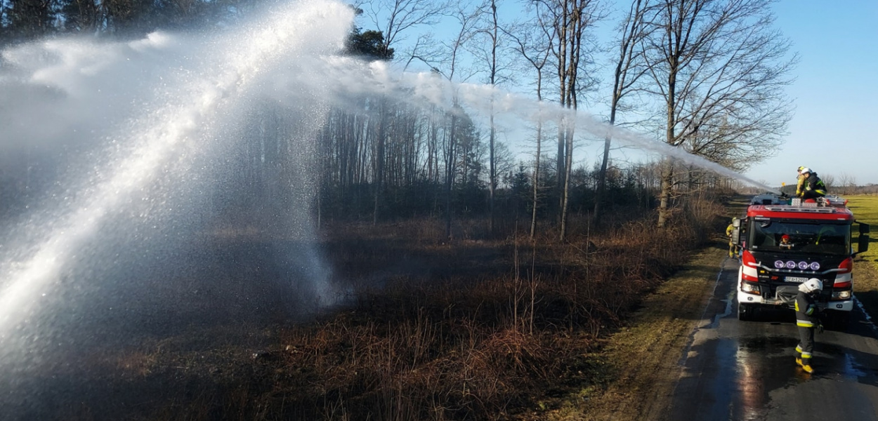 Co roku ten sam problem. Kto podpala  nieużytki?