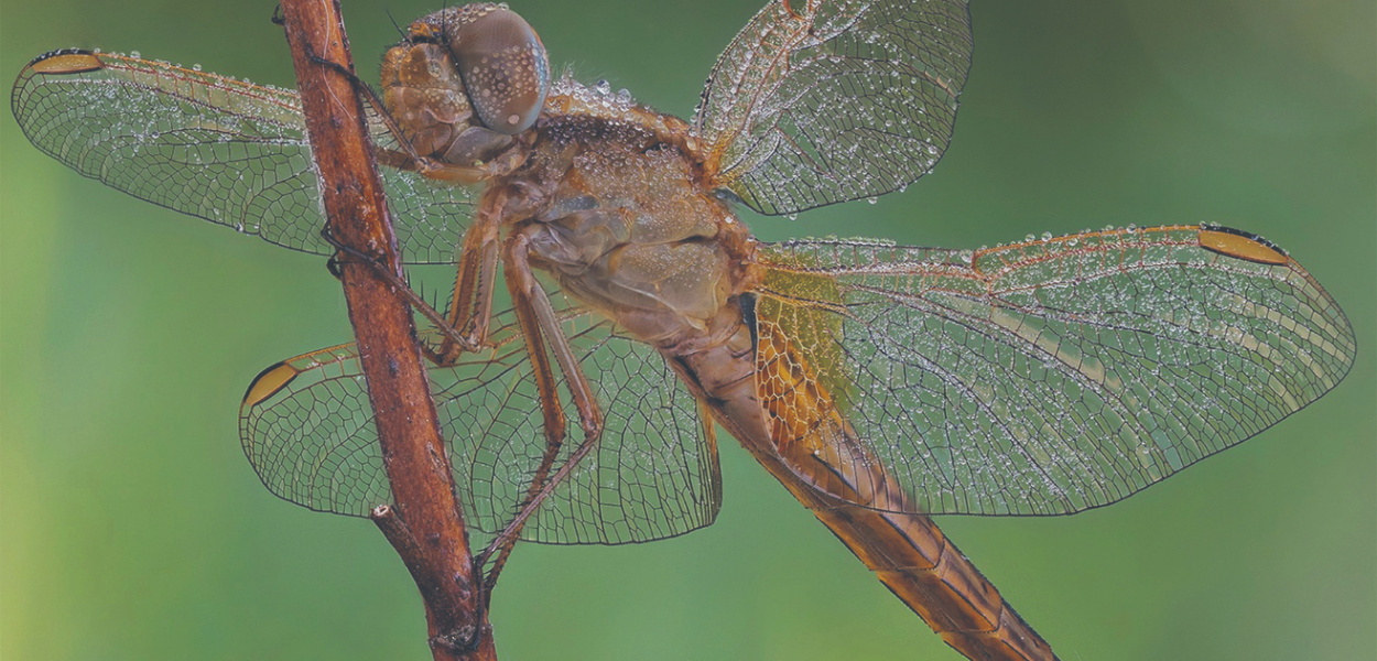  Przyroda to mój świat - zapewnia Tomasz Ciesielski, z zawodu lekarz, a z…