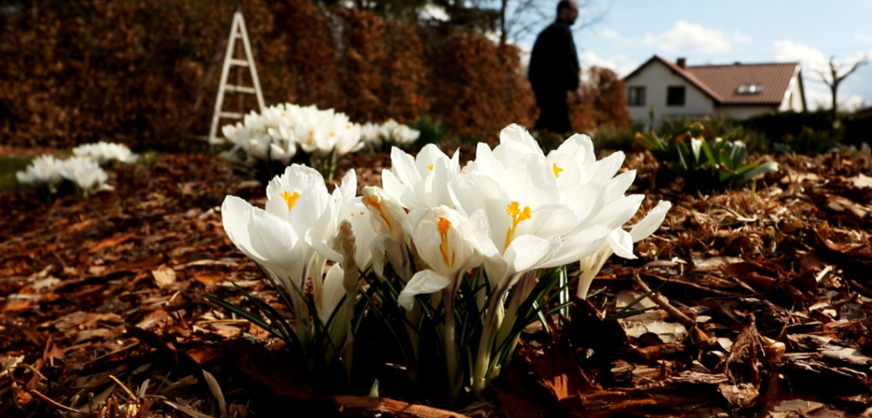 W ten weekend otwierają sezon wiosenny w Afloparku