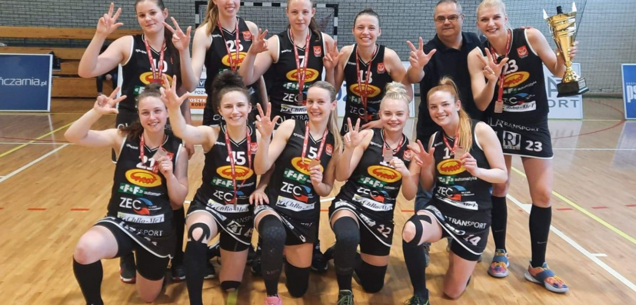 Grot F&F Automatyka Pabianice