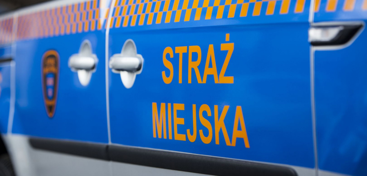  Wiadomo już, kto narozrabiał w Lewitynie. Sprzątanie może słono…