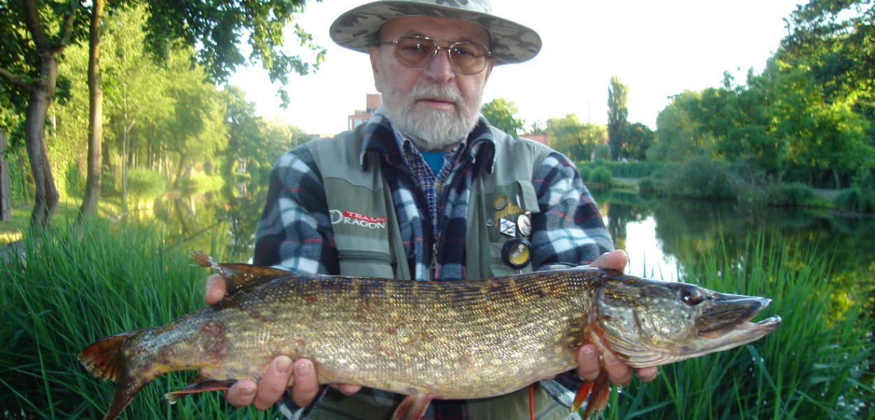  Karpie, liny, leszcze i złociste karasie w mocnej obstawie szczupaków…