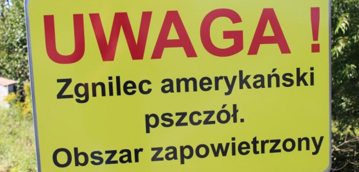 materiały prasowe