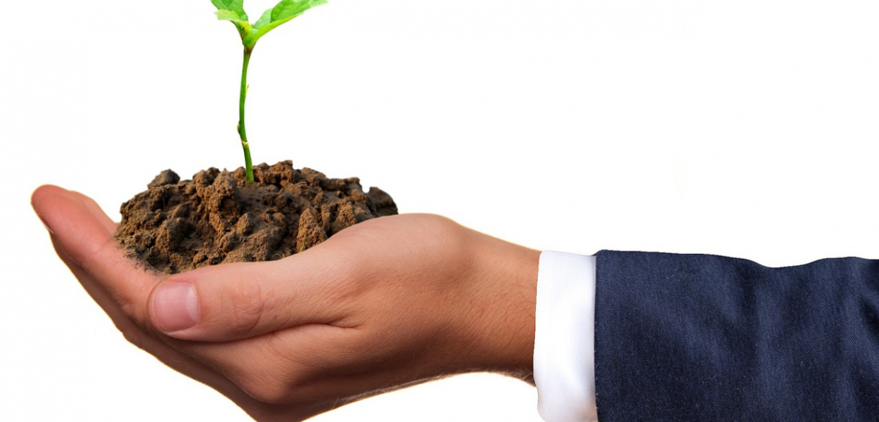 Adiuwanty do fungicydów - klucz do skutecznej ochrony roślin