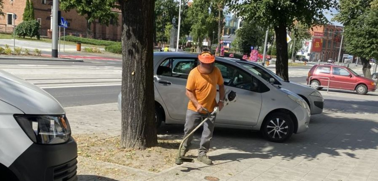 Kosić trawę w upały czy nie kosić? Oto jest pytanie