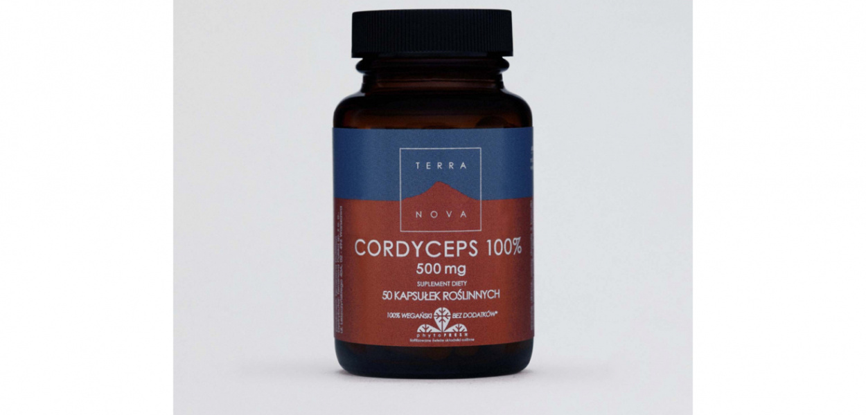 Cordyceps - właściwości cudownego leku