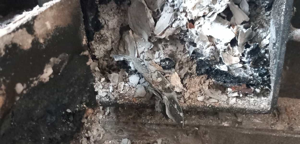 Straż Miejska w Pabianicach