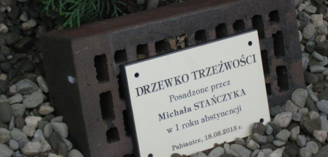 69 świerków w Alei Trzeźwości