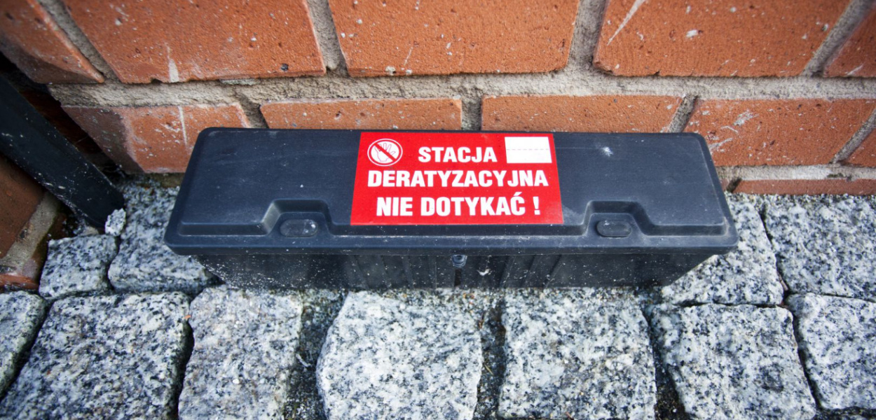 Czarna seria zatruć dzieci. Czy mali pabianiczanie są bezpieczni?