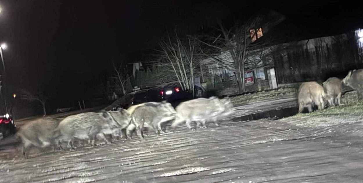 Foto czytelnika