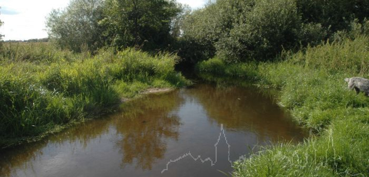 Jach Przemek