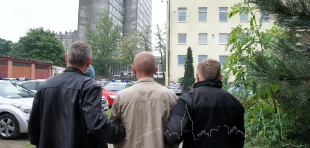 policja