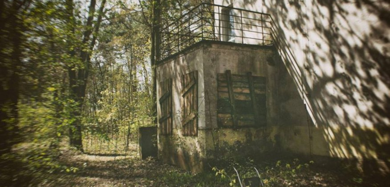 Forest Escape