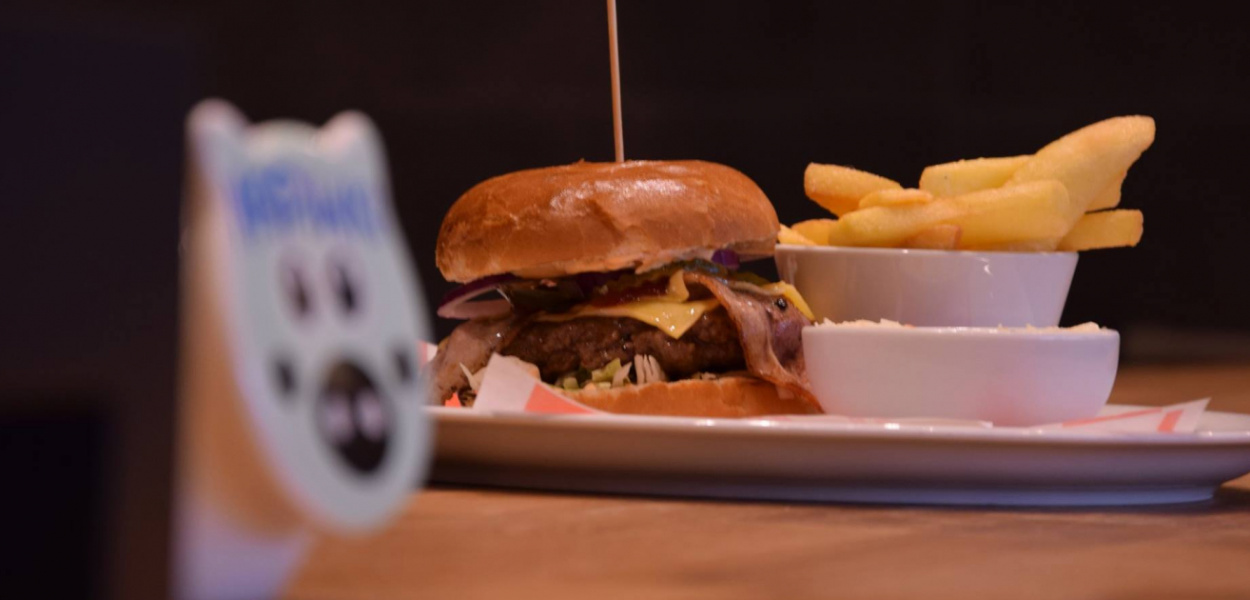 Republika Burgera