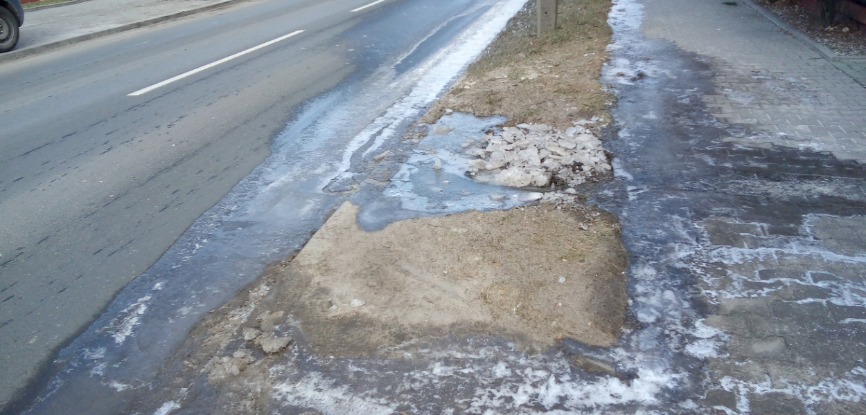 Straż Miejska Pabianice