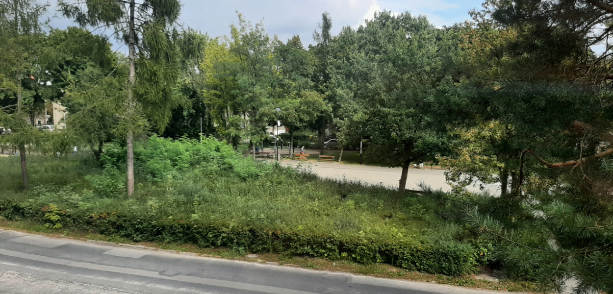 redakcja