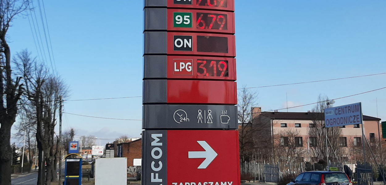 redakcja