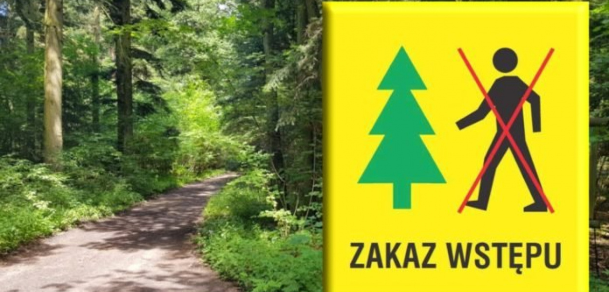 redakcja